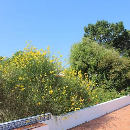 Aldeamento Turístico Casal Novo São Martinho do Porto