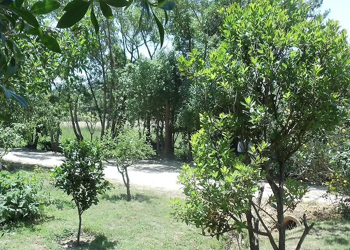 Casal Novo 4* São Martinho do Porto