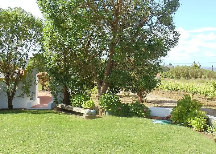 Casal Novo Aldeamento Turístico São Martinho do Porto