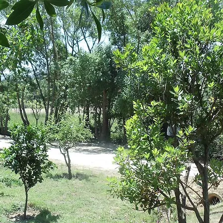 Casal Novo 4* サン・マルティーニョ・ド・ポルト