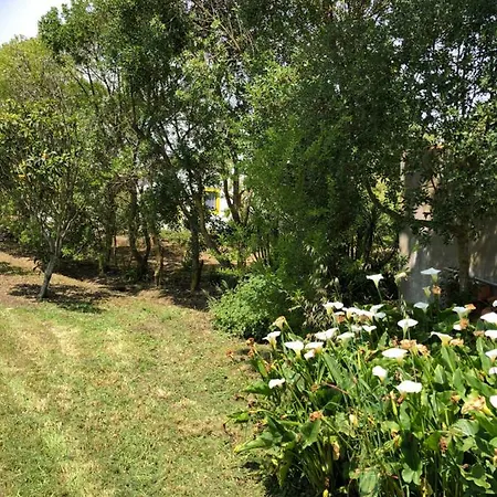 Casal Novo 4* サン・マルティーニョ・ド・ポルト